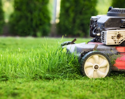 LAWN MOWING