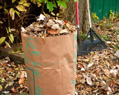 LEAF CLEAN UP